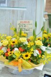 オープニング３デイズ