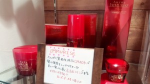 シダ3