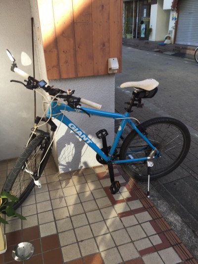 髪も体もタンパク質