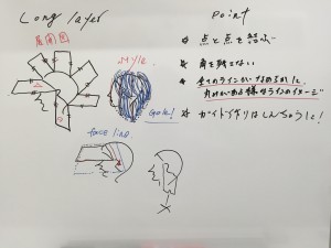 シダ5