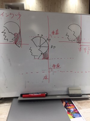 シダ2