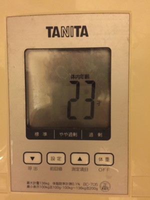 シダ2