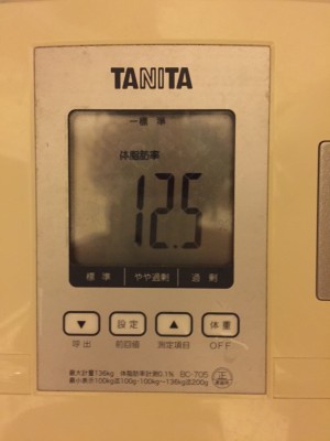 シダ1