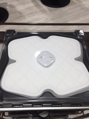 しだ2