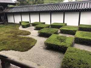 ぬの6