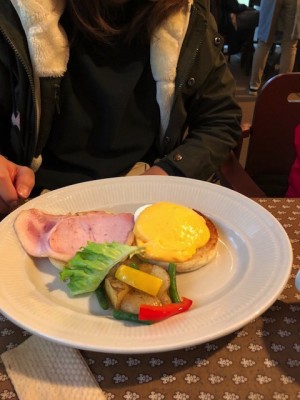 しだ